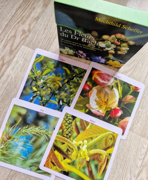 Présentation de 4 Fleurs de Bach utiles pour faire le tri dans ses émotions