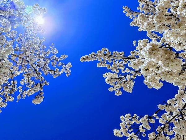 Lire la suite à propos de l’article Rayonnez cet été : Comment profiter pleinement de cette saison pour se recentrer et se ressourcer ?