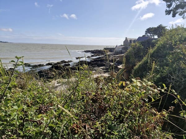 Lire la suite à propos de l’article Rentrée sereine : Gérer la reprise avec douceur et confiance