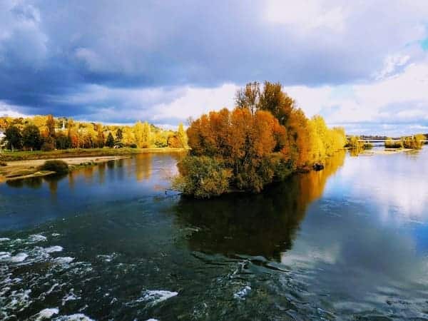 Lire la suite à propos de l’article Automne, la saison du tri intérieur : comment lâcher prise et ne garder que le meilleur pour nous ?