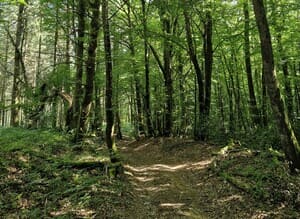 You are currently viewing Quand tout vacille : traverser une transition de vie sans s’épuiser