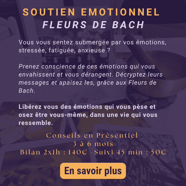 Accompagnement émotionnel avec les Fleurs de Bach pour apaiser le stress et retrouver l’équilibre intérieur.