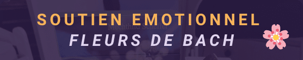 Image représentant soutien émotionnel avec les Fleurs de Bach